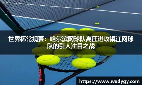 世界杯常规赛：哈尔滨网球队高压进攻镇江网球队的引人注目之战