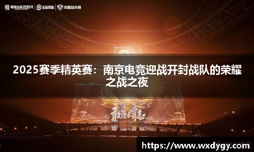 2025赛季精英赛：南京电竞迎战开封战队的荣耀之战之夜
